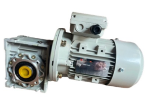 จัดจำหน่าย Transmax Worm Gear Motor